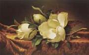 Martin Johnson Heade Magnolia oil painting